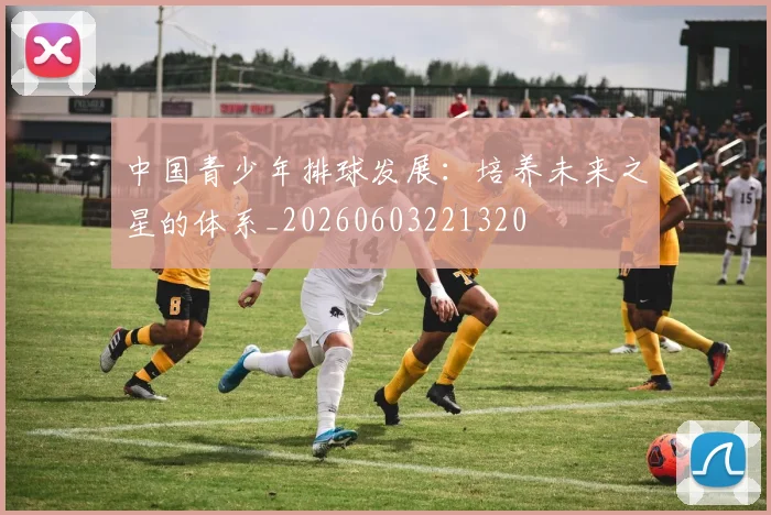 中国青少年排球发展：培养未来之星的体系_20260603221320