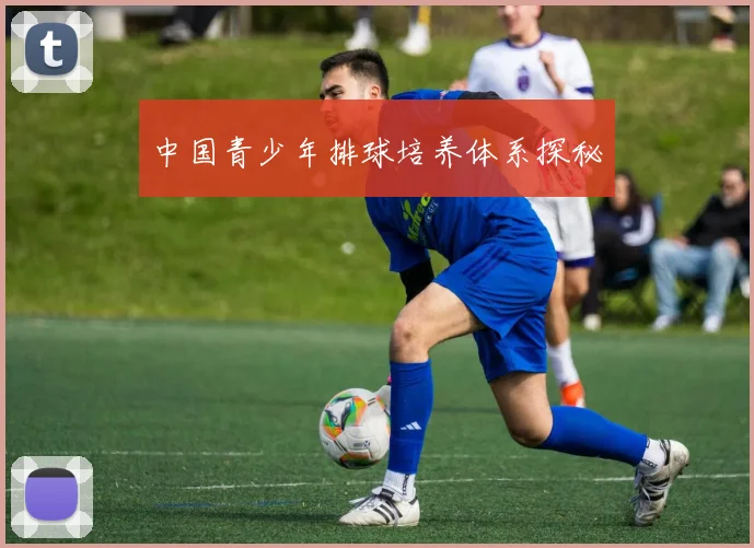 中国青少年排球培养体系探秘