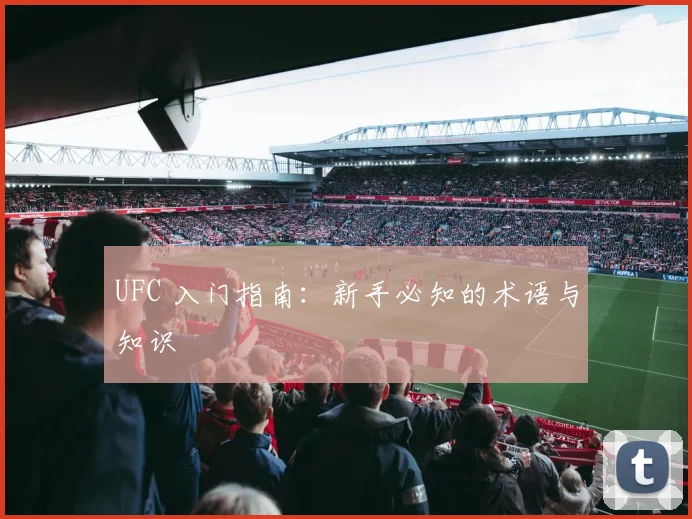 UFC 入门指南:新手必知的术语与知识