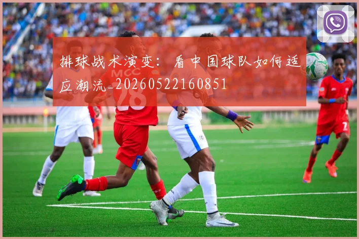 排球战术演变：看中国球队如何适应潮流_20260522160851