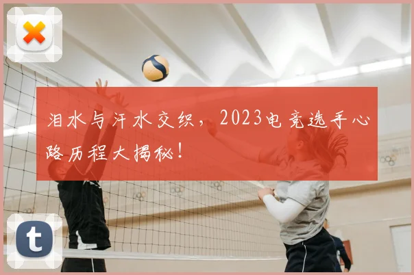 泪水与汗水交织,2023电竞选手心路历程大揭秘!