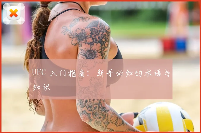 UFC 入门指南:新手必知的术语与知识